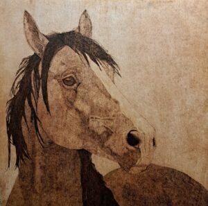 horse portrait