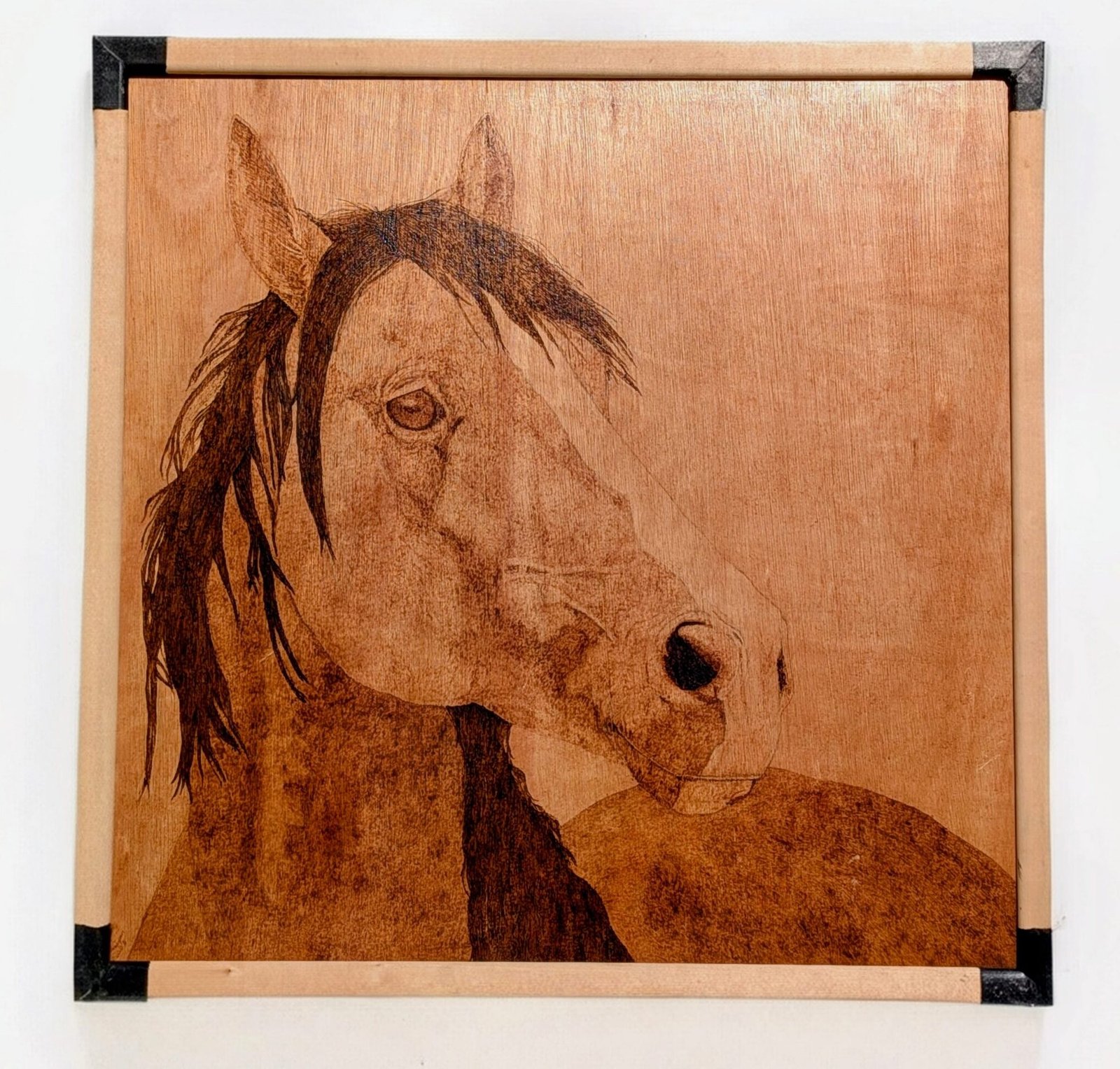 gentle soul, quiet power (2025) - 60cm by 60 cm Brown horse with a white nose blaze pyrography on a 60cm by 60 cm hardwood board