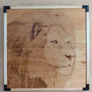 The lion's gaze. Close up image of a lion's head hand-burned using pyrography on a hardwood board