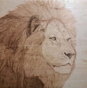 lion