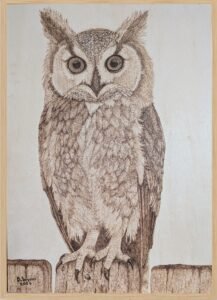 A3 Pyrography of an Owl perched on a rustic gate