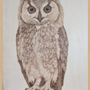 A3 Pyrography of an Owl perched on a rustic gate